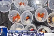 谷城@铲屎官们 养“异宠”或危害国家安全 这些行为违法了
