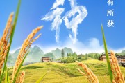谷城芒种节气小知识来了 夏种作物都有什么？