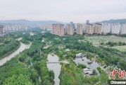 谷城西宁市举办六五环境日主题宣传活动